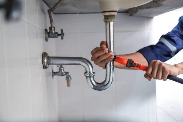 Best Plumbing Inspection Services  in Pana, IL