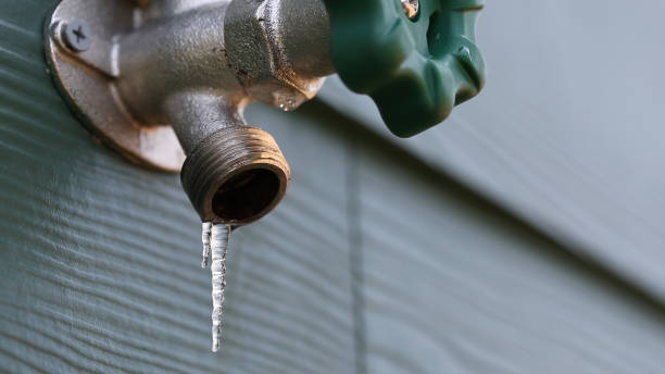 Best Residential Plumbing Services  in Pana, IL