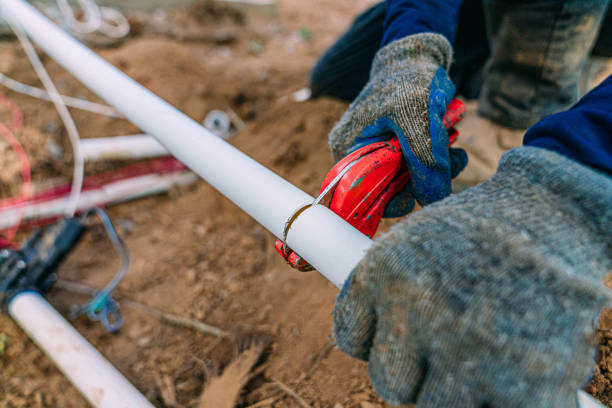 Best Local Plumber Services  in Pana, IL